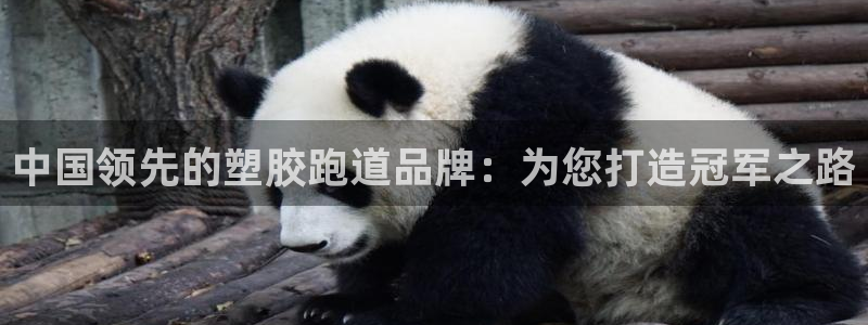 谈球吧体育首页综合登陆：中国领先的塑胶跑道品牌：为您打造冠军之路
