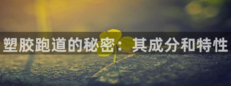 谈球吧言网入口