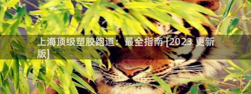 谈球吧体育ios下载：上海顶级塑胶跑道：最全指南 [2023 更新
版]