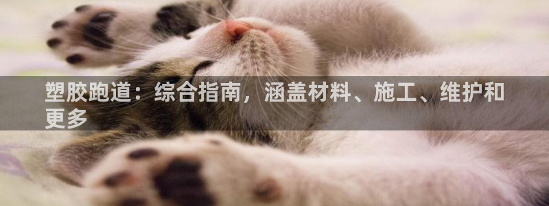 谈球吧黑款：塑胶跑道：综合指南，涵盖材料、施工、维护和
更多
