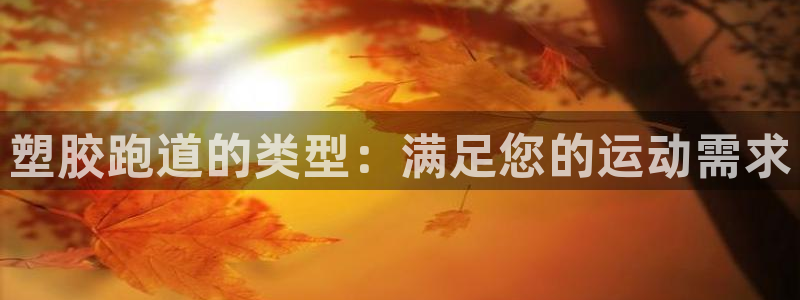 谈球吧怎么充值：塑胶跑道的类型：满足您的运动需求