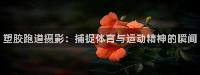 谈球吧的聊天软件叫什么名字：塑胶跑道摄影：捕捉体育与运动精神的瞬间