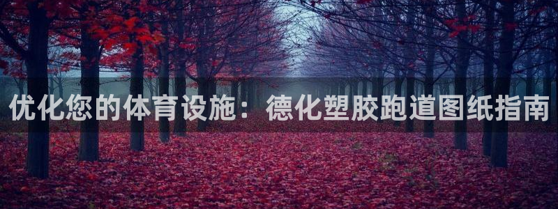 谈球吧首页：优化您的体育设施：德化塑胶跑道图纸指南