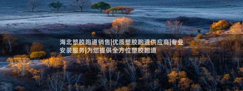 谈球吧首页：海北塑胶跑道销售|优质塑胶跑道供应商|专业
安装服务|为您提供全方位塑胶跑道