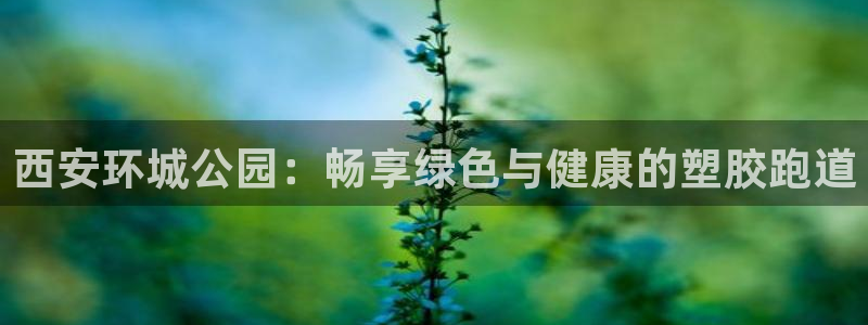 谈球吧属于哪个旗下：西安环城公园：畅享绿色与健康的塑胶跑道