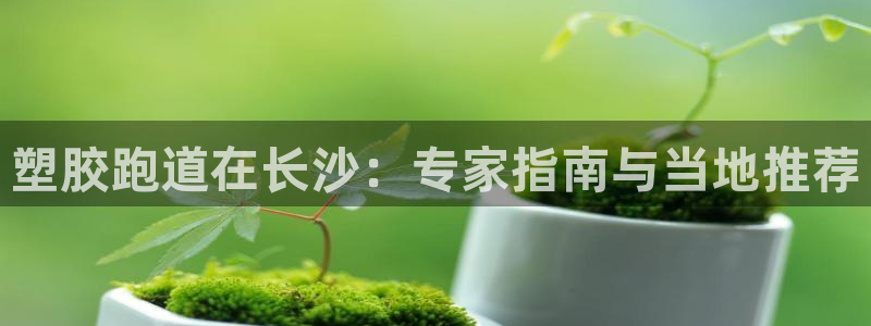 谈球吧官网在线入口免费观看高清版：塑胶跑道在长沙：专家指南与当地推荐