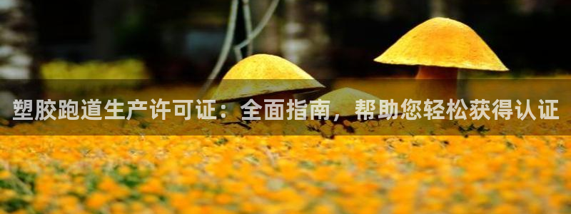 谈球吧可靠吗：塑胶跑道生产许可证：全面指南，帮助您轻