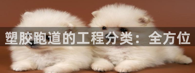 tqb谈球吧：塑胶跑道的工程分类：全方位
