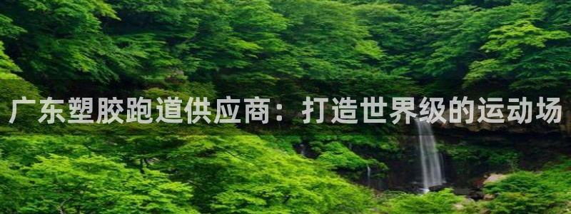 谈球吧最新APP下载：广东塑胶跑道供应商：打造世界级的运动场