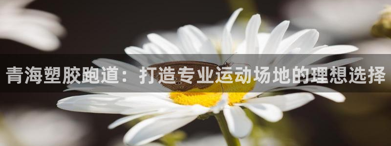 谈球吧咋样：青海塑胶跑道：打造专业运动场地的理想选择