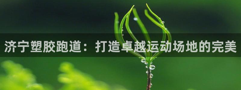 谈球吧体育app下载官网手机版安装：济宁塑胶跑道：打造卓越运动场地的完美
