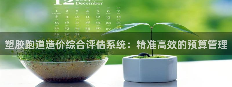 谈球吧平台正规吗：塑胶跑道造价综合评估系统：精准高效的预算管理