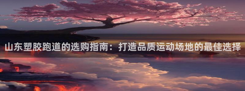谈球吧的聊天软件叫什么来着：山东塑胶跑道的选购指南：
