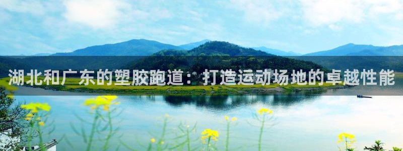 谈球吧与普通平台对比：湖北和广东的塑胶跑道：打造运动场地的卓越性能