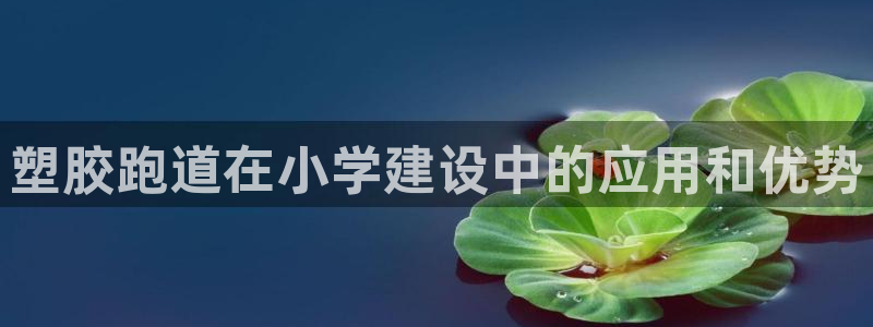 谈球吧官网在线入口手机版免费观看：塑胶跑道在小学建设中的应用和优势