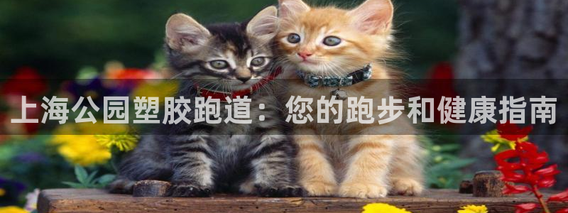 谈球吧体育app官网下载：上海公园塑胶跑道：您的跑步