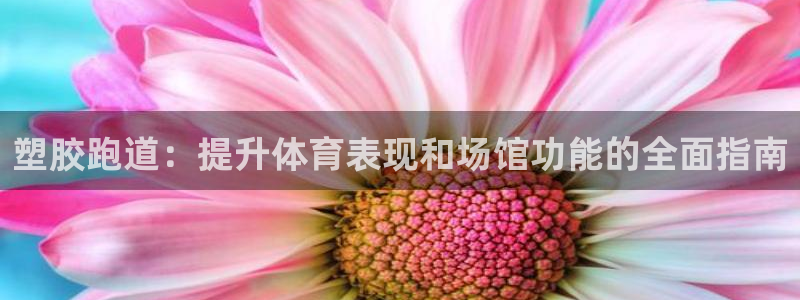 谈球吧平台app下载网址是什么：塑胶跑道：提升体育表现和场馆功能的全面指南