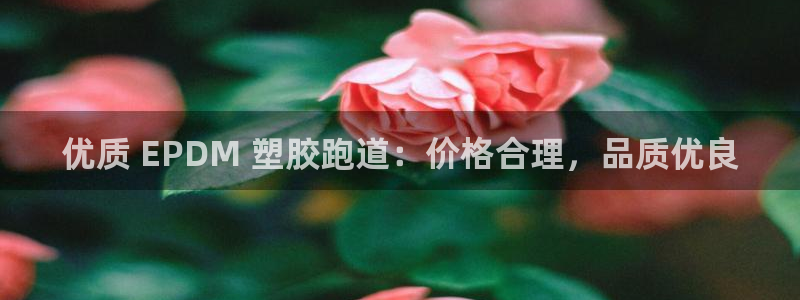 谈球吧是黑台子吗还是白台子：优质 EPDM 塑胶跑道