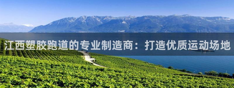 谈球吧体育app下载足球比赛视频：江西塑胶跑道的专业制造商：打造优质运动场地