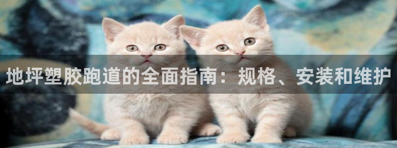 谈球吧买球提现：地坪塑胶跑道的全面指南：规格、安装和