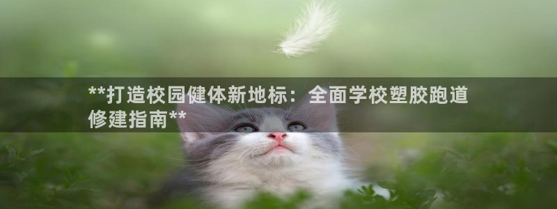谈球吧官网在线入口网址：**打造校园健体新地标：全面学校塑胶跑道
修建指南**