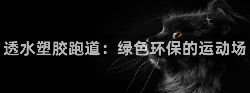 谈球吧体育：透水塑胶跑道：绿色环保的运动场
