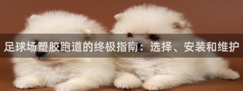 谈球吧体育app下载中心官网：足球场塑胶跑道的终极指南：选择、安装和维护