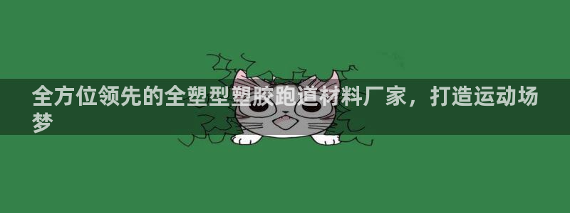 谈球吧体育app下载官网手机版安装：全方位领先的全塑