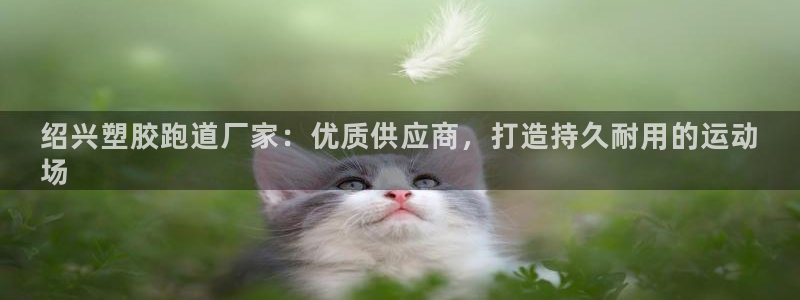 谈球吧可靠吗：绍兴塑胶跑道厂家：优质供应商，打造持久耐用的运动
场