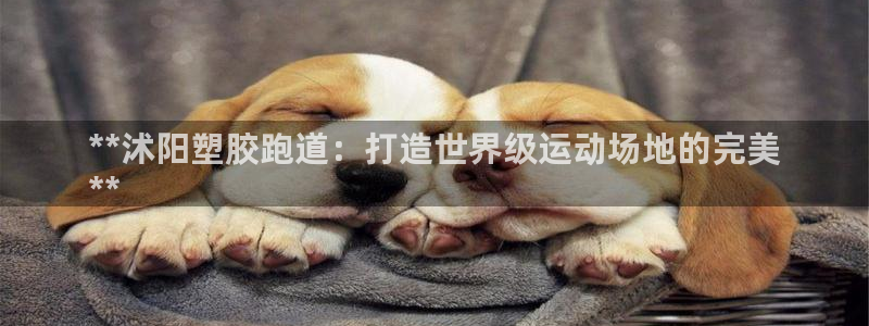 谈球吧app官网：**沭阳塑胶跑道：打造世界级运动场地的完美
**