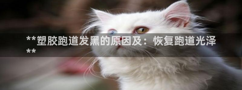 谈球吧app赛事分析报告：**塑胶跑道发黑的原因及：恢复跑道光泽
**