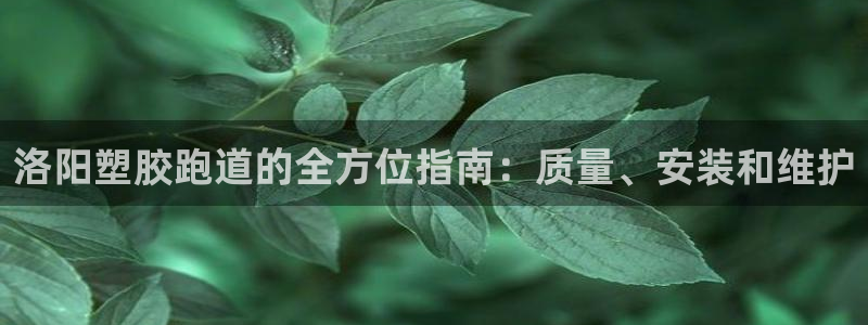 谈球吧是黑台子吗知乎小说：洛阳塑胶跑道的全方位指南：质量、安装和维护