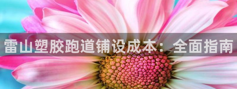 谈球吧的聊天软件叫什么：雷山塑胶跑道铺设成本：全面指南
