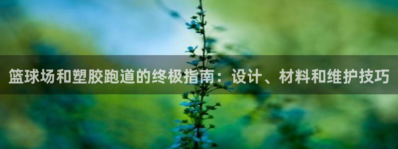 谈球吧官网在线入口手机版免费观看：篮球场和塑胶跑道的终极指南：设计、材料和维护技巧