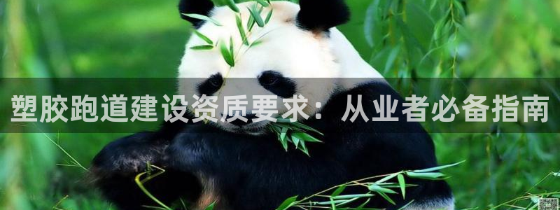谈球吧官网在线入口免费观看高清版：塑胶跑道建设资质要