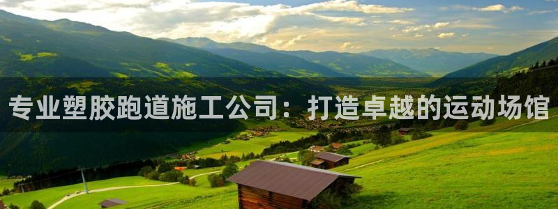 谈球吧在线观看：专业塑胶跑道施工公司：打造卓越的运动场馆