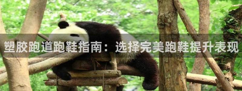 谈球吧app在哪里下载