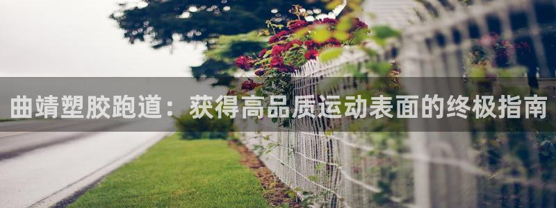 谈球吧登录网：曲靖塑胶跑道：获得高品质运动表面的终极指南