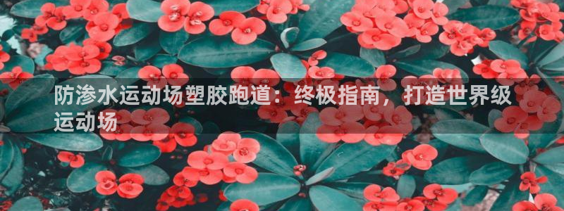 谈球吧体育app下载官网安卓：防渗水运动场塑胶跑道：终极指南，打造世界级
运动场