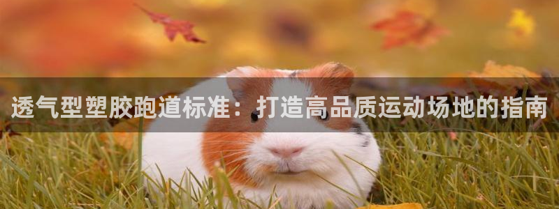 谈球吧属于哪个旗下：透气型塑胶跑道标准：打造高品质运动场地的指南