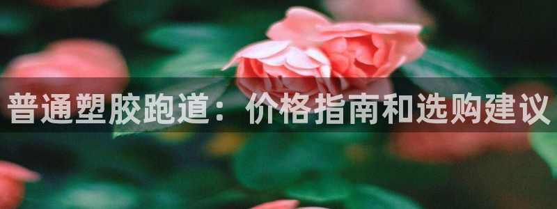 谈球吧官网首页：普通塑胶跑道：价格指南和选购建议