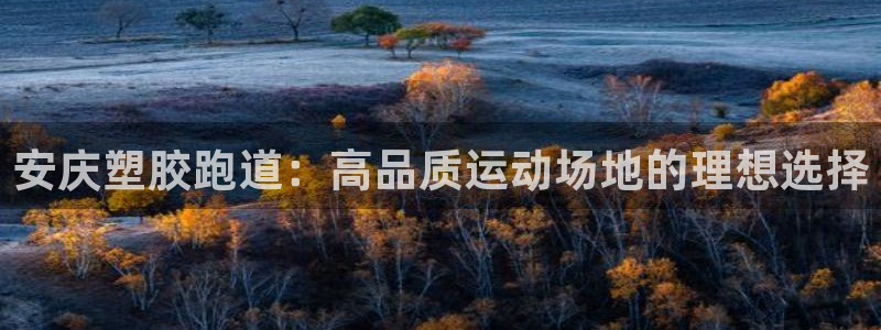 谈球吧最新APP下载：安庆塑胶跑道：高品质运动场地的理想选择