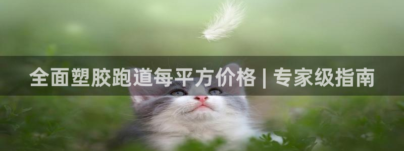 谈球吧体育app下载官网安卓：全面塑胶跑道每平方价格