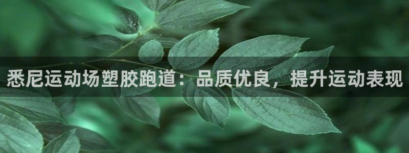 谈球吧的聊天软件是什么：悉尼运动场塑胶跑道：品质优良，提升运动表现