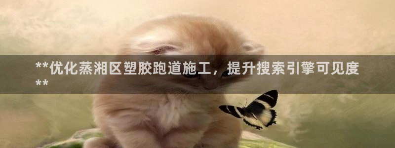 谈球吧app体育下载：**优化蒸湘区塑胶跑道施工，提升搜索引擎可见度
**