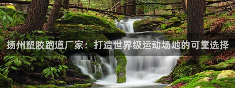 tqb谈球吧：扬州塑胶跑道厂家：打造世界级运动场地的可靠选择