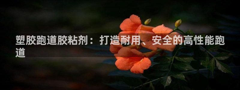 谈球吧体育app登陆：塑胶跑道胶粘剂：打造耐用、安全的高性能跑
道