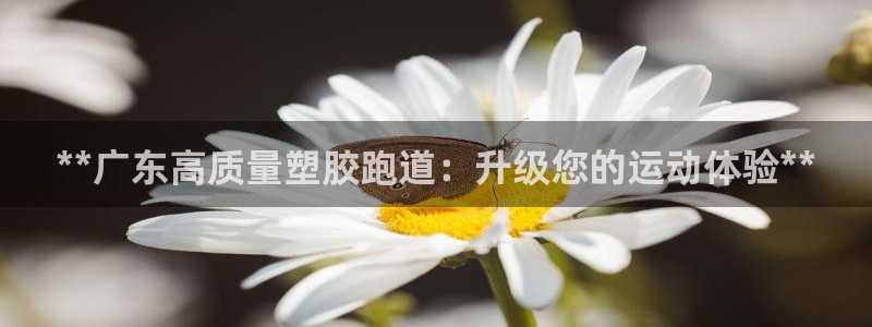 谈球吧体育app官网：**广东高质量塑胶跑道：升级您的运动体验**
