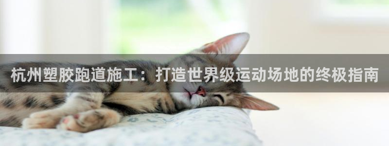 谈球吧网页版在线入口