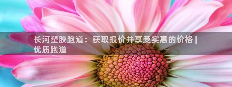 谈球吧网页版在线入口：长河塑胶跑道：获取报价并享受实